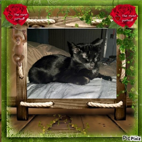 thebugster08 uploaded   85  day/s  ago