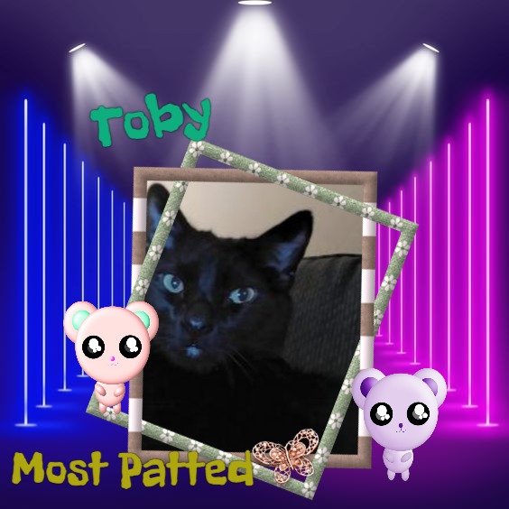 Toby of the thebugster08 family