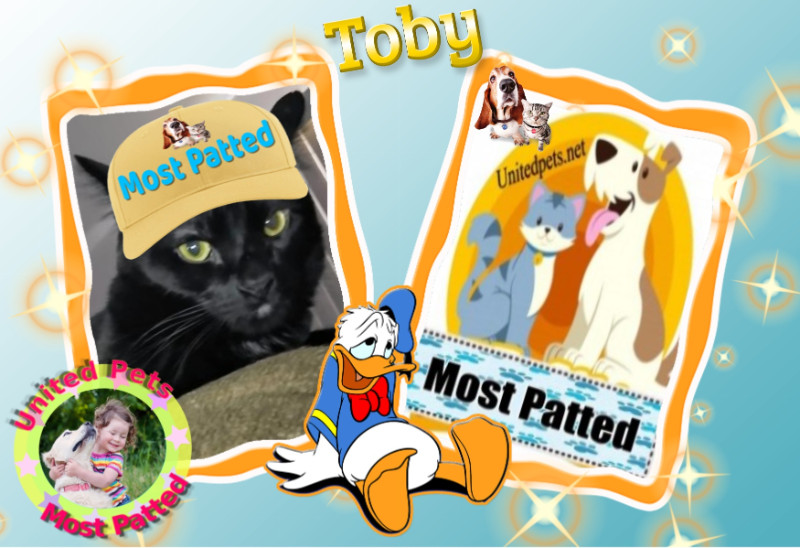 thebugster08 uploaded   84  day/s  ago