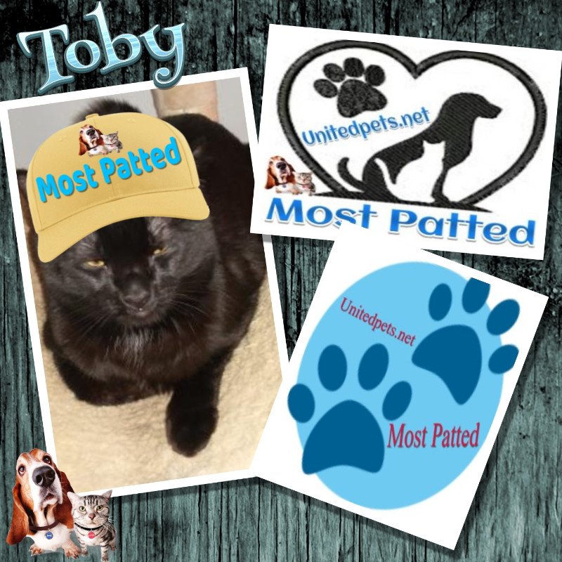 Toby of the thebugster08 family