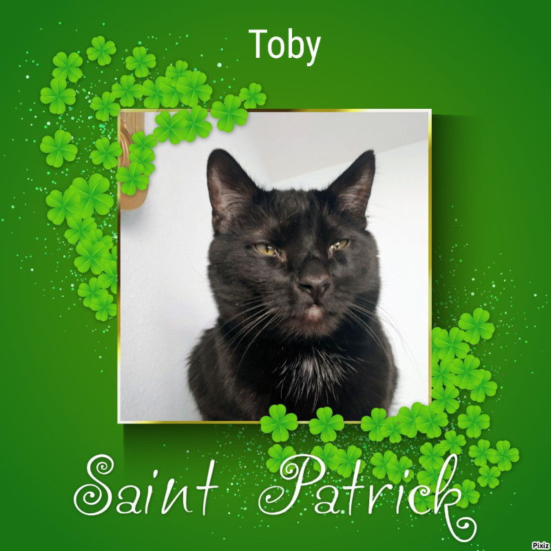 Toby of the thebugster08 family