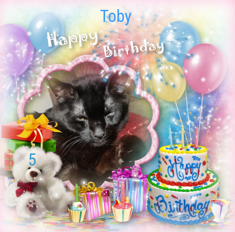 Toby of the thebugster08 family