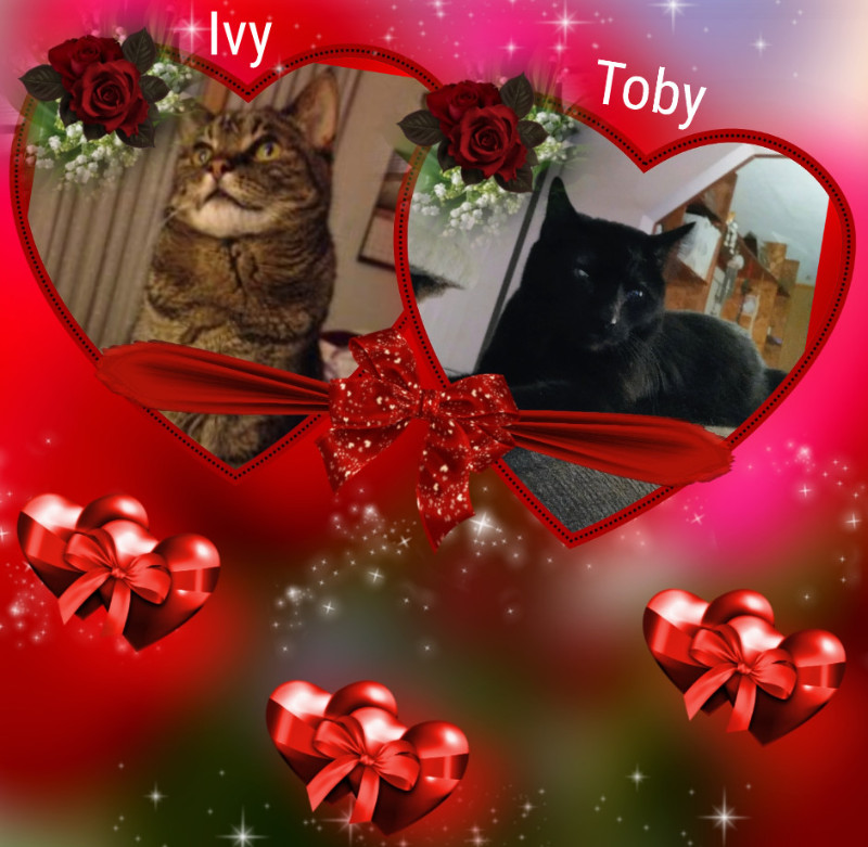 thebugster08 uploaded   91  day/s  ago