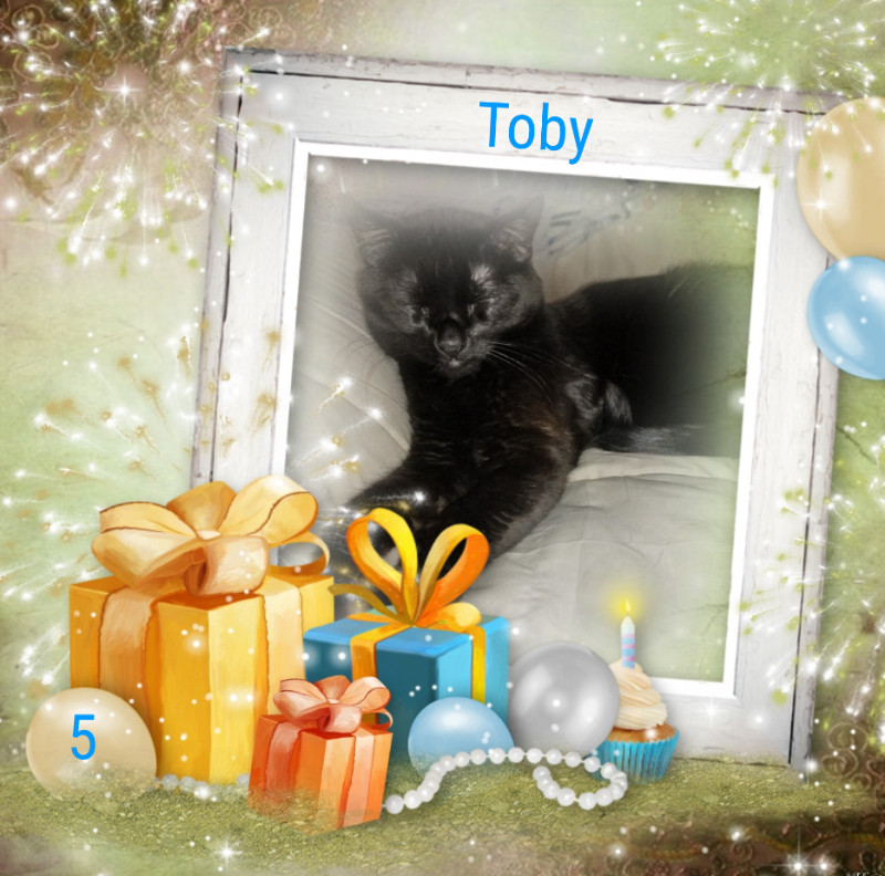Toby of the thebugster08 family