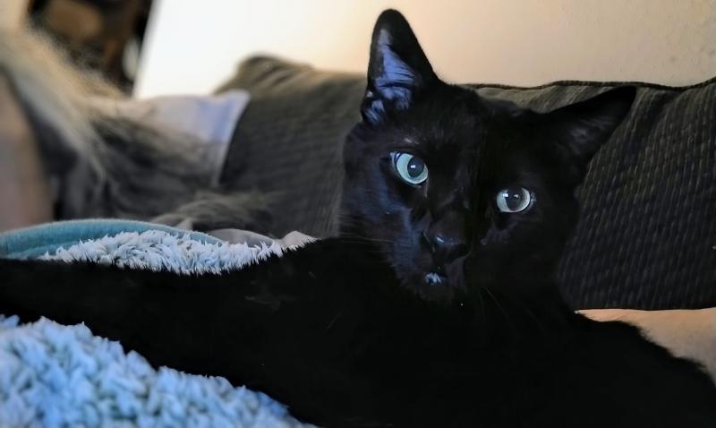 thebugster08 uploaded   1 year/s ago