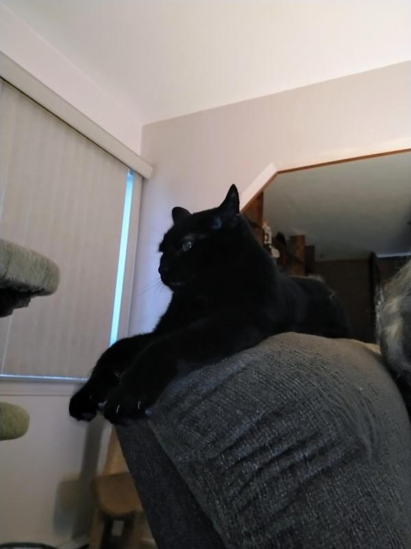 thebugster08 uploaded   1 year/s ago