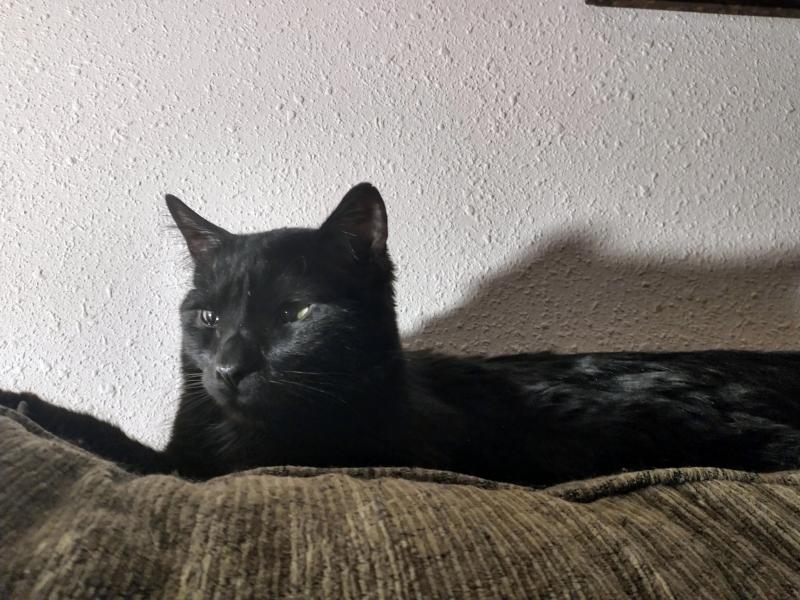 thebugster08 uploaded   1 year/s ago