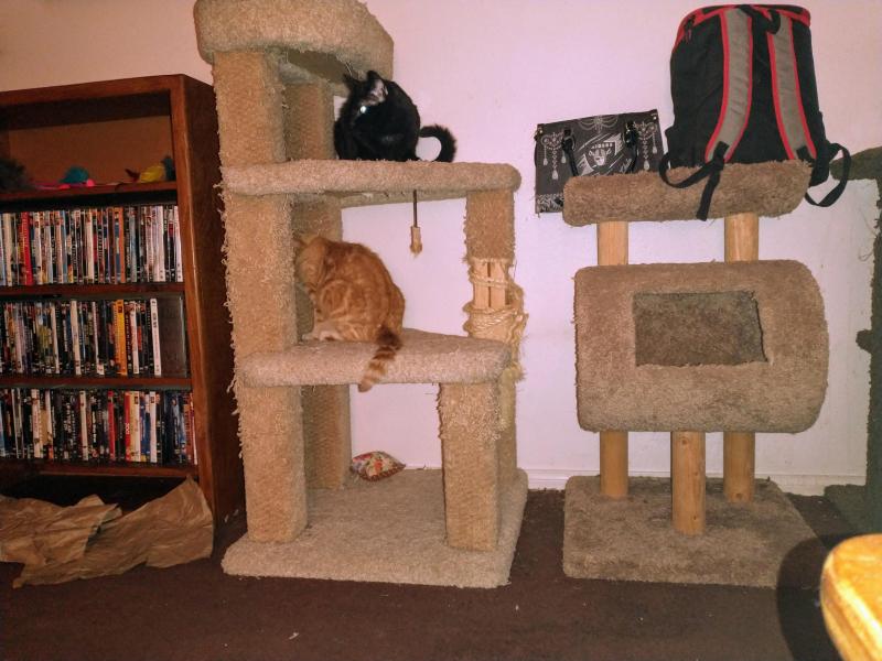 thebugster08 uploaded   1 year/s ago