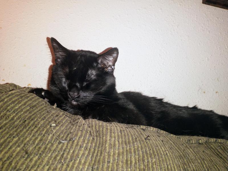 thebugster08 uploaded   1 year/s ago