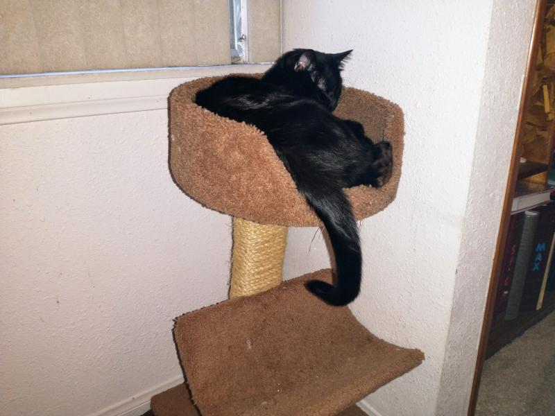 thebugster08 uploaded   351  day/s  ago