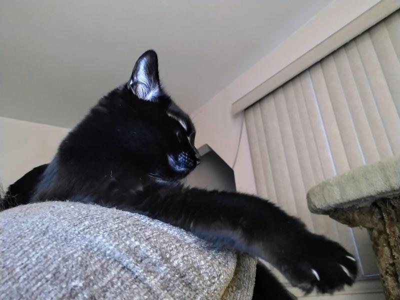 thebugster08 uploaded   337  day/s  ago