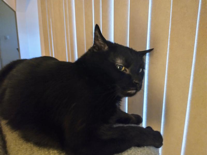 thebugster08 uploaded   316  day/s  ago