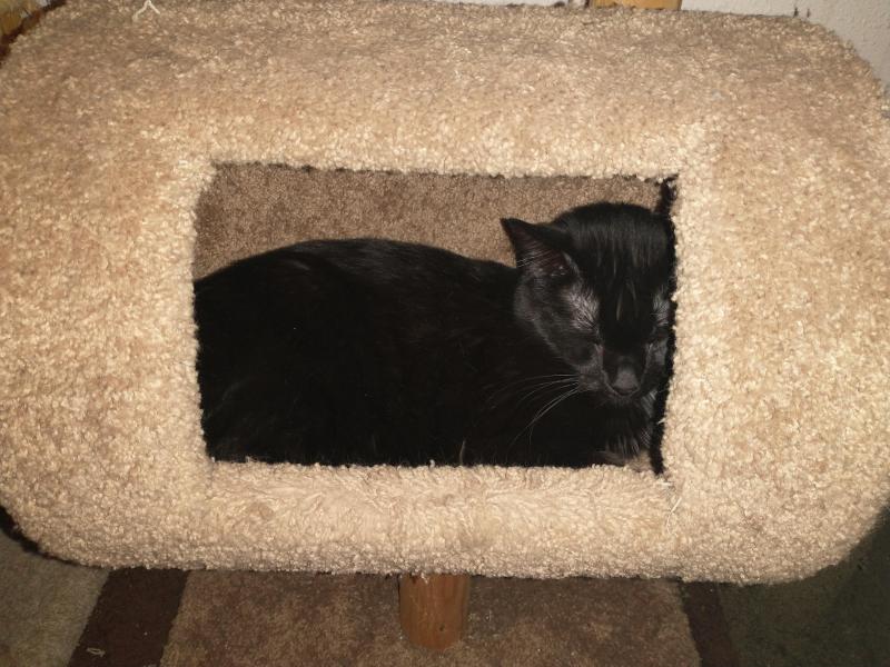 thebugster08 uploaded   302  day/s  ago