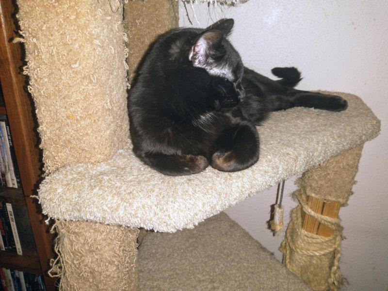 thebugster08 uploaded   280  day/s  ago