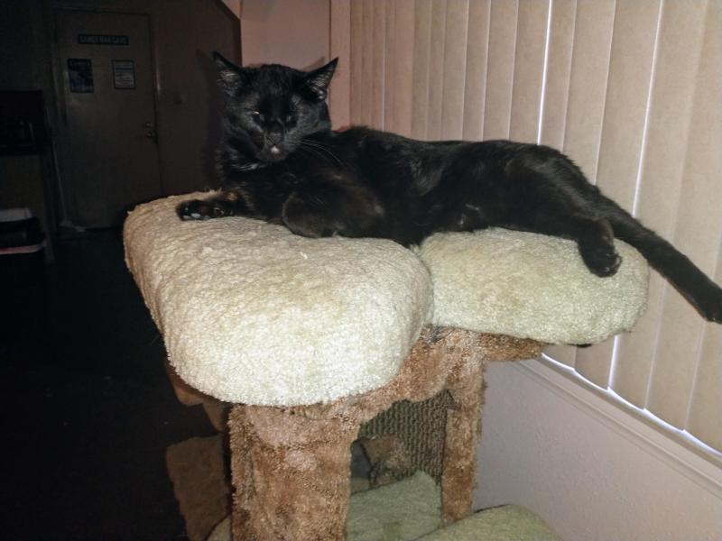 thebugster08 uploaded   273  day/s  ago