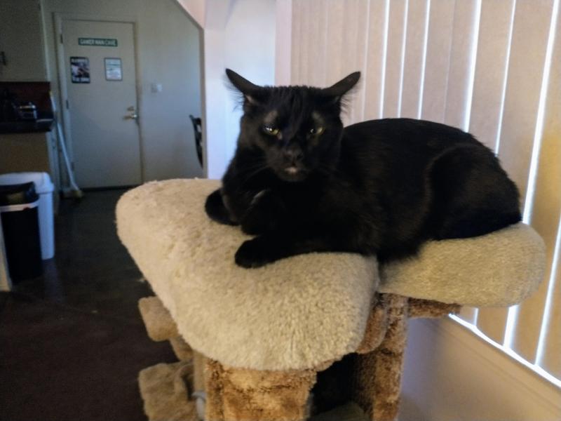 thebugster08 uploaded   294  day/s  ago