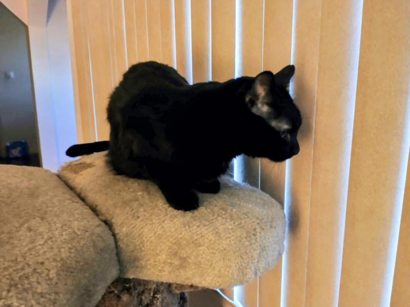 thebugster08 uploaded   221  day/s  ago