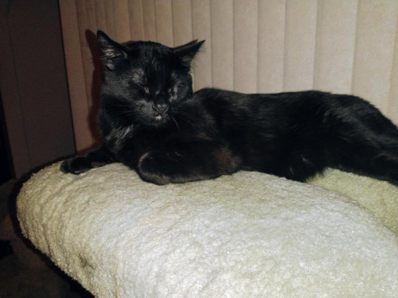 thebugster08 uploaded   214  day/s  ago