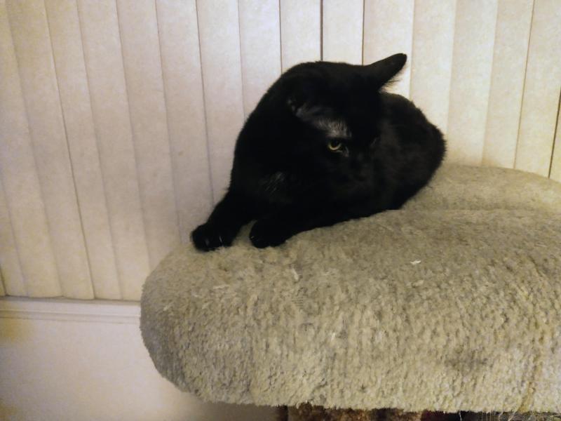 thebugster08 uploaded   207  day/s  ago