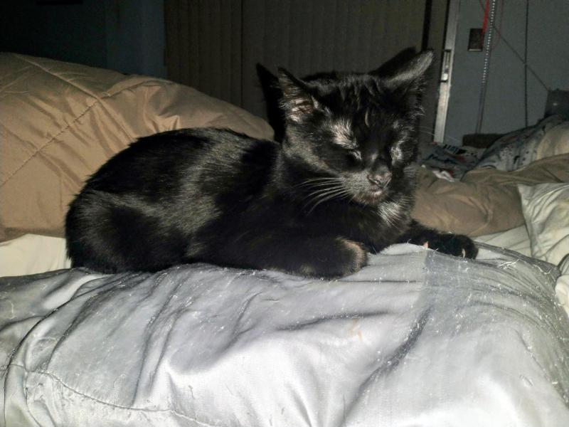 thebugster08 uploaded   86  day/s  ago