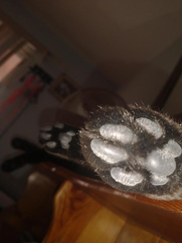 Toby of the thebugster08 family