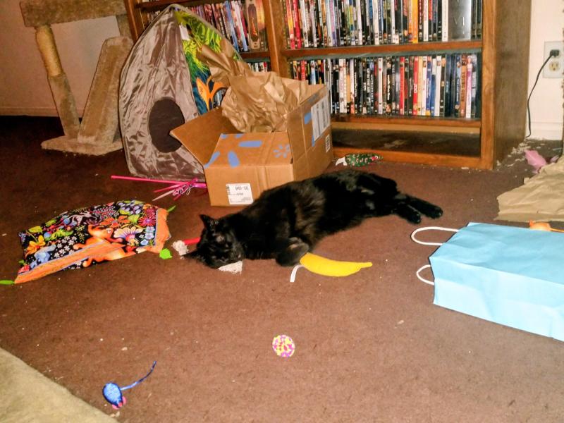 thebugster08 uploaded   3  day/s  ago