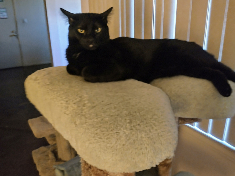 thebugster08 uploaded   323  day/s  ago