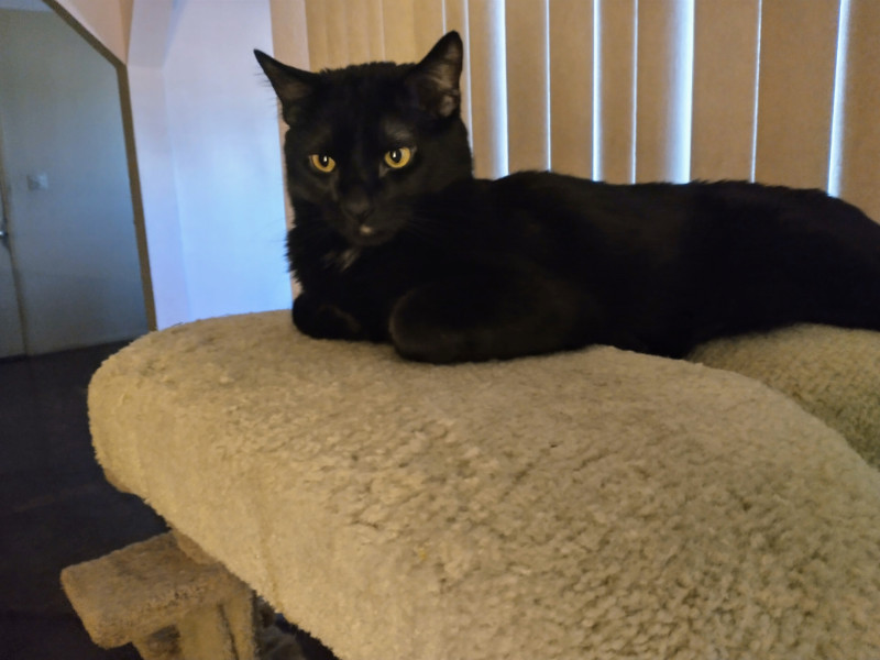 thebugster08 uploaded   323  day/s  ago