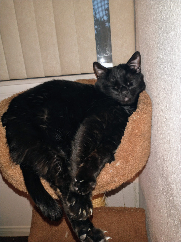 thebugster08 uploaded   323  day/s  ago