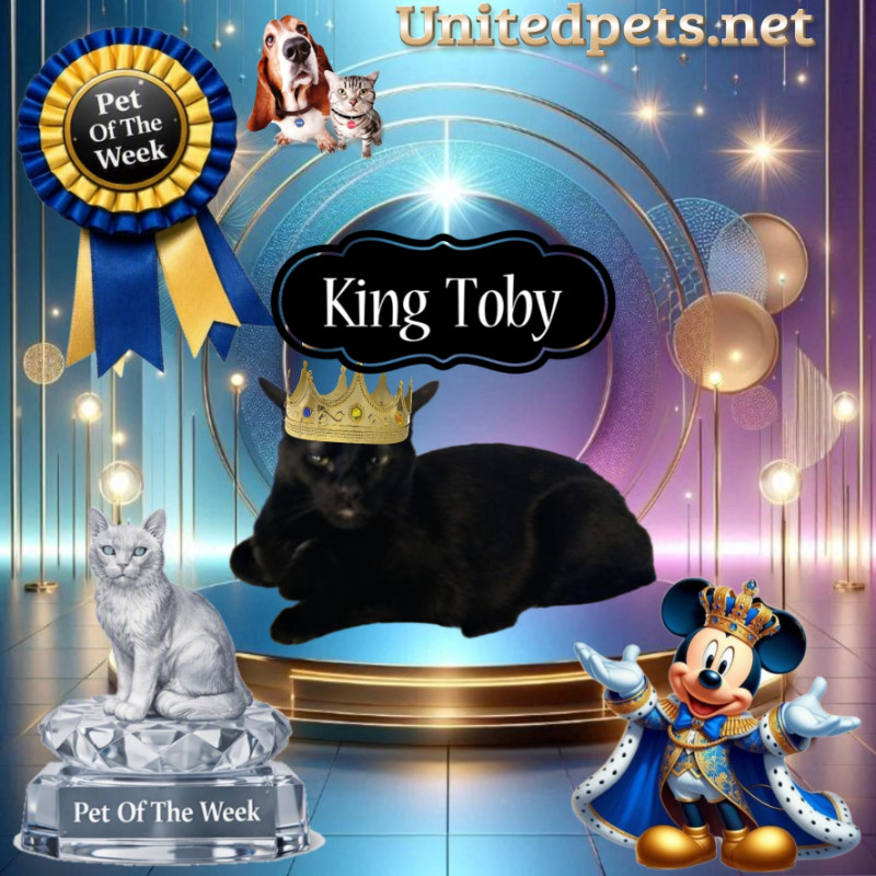 Toby of the thebugster08 family