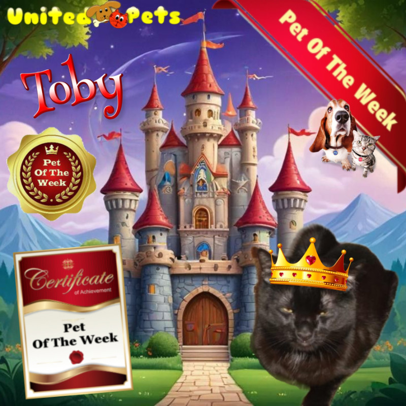 Toby of the thebugster08 family