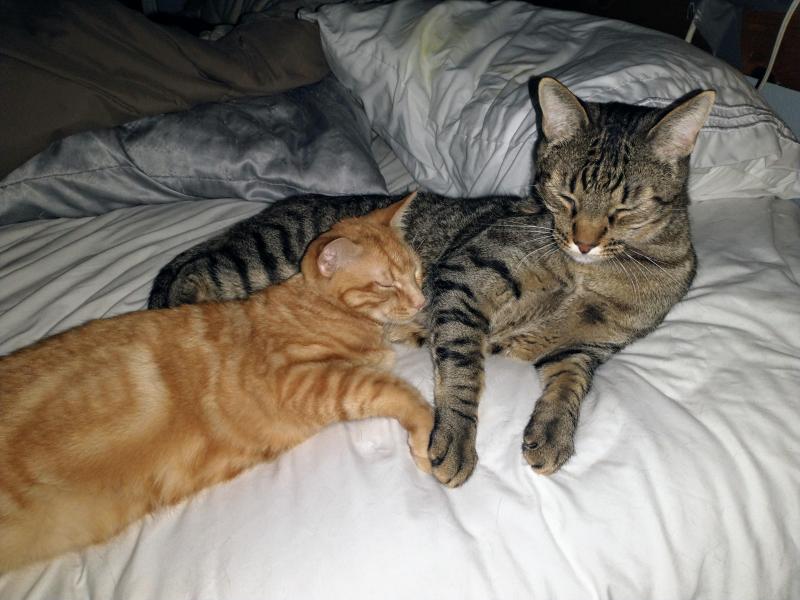 thebugster08 uploaded   1 year/s ago