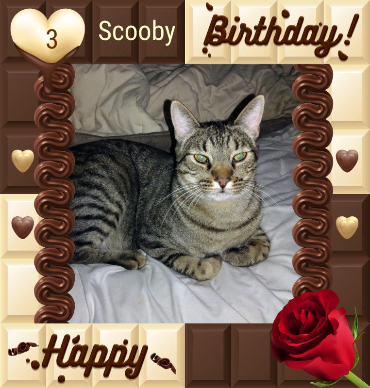 thebugster08 uploaded   1 year/s ago