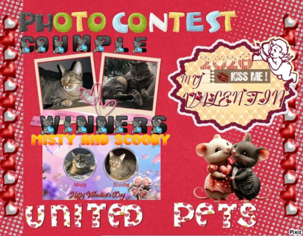 Scooby of the thebugster08 family