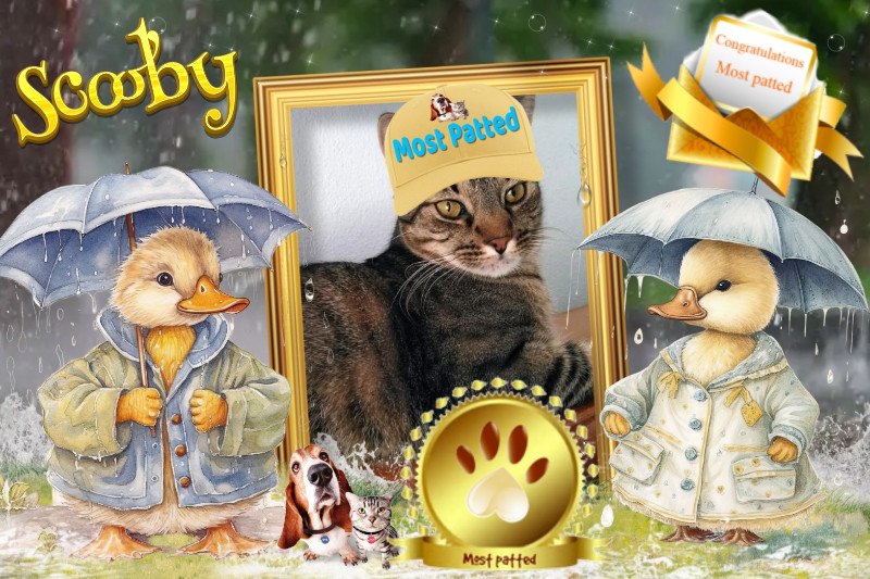 Scooby of the thebugster08 family