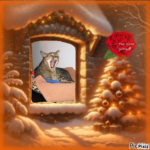 Scooby of the thebugster08 family