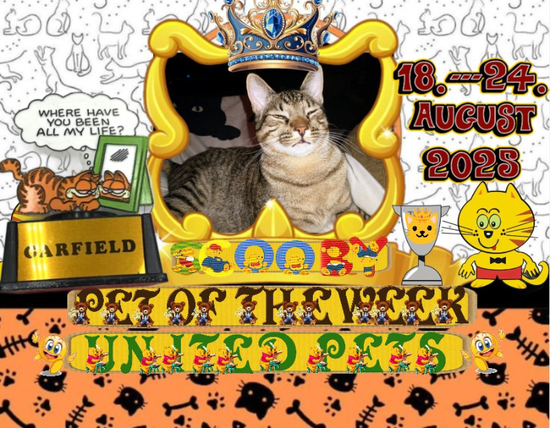 thebugster08 uploaded   265  day/s  ago