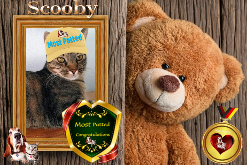 Scooby of the thebugster08 family