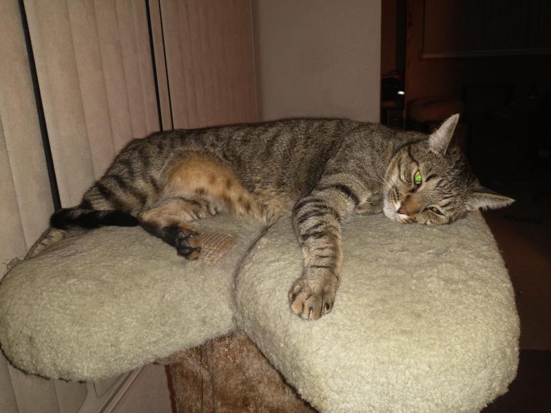 thebugster08 uploaded   193  day/s  ago