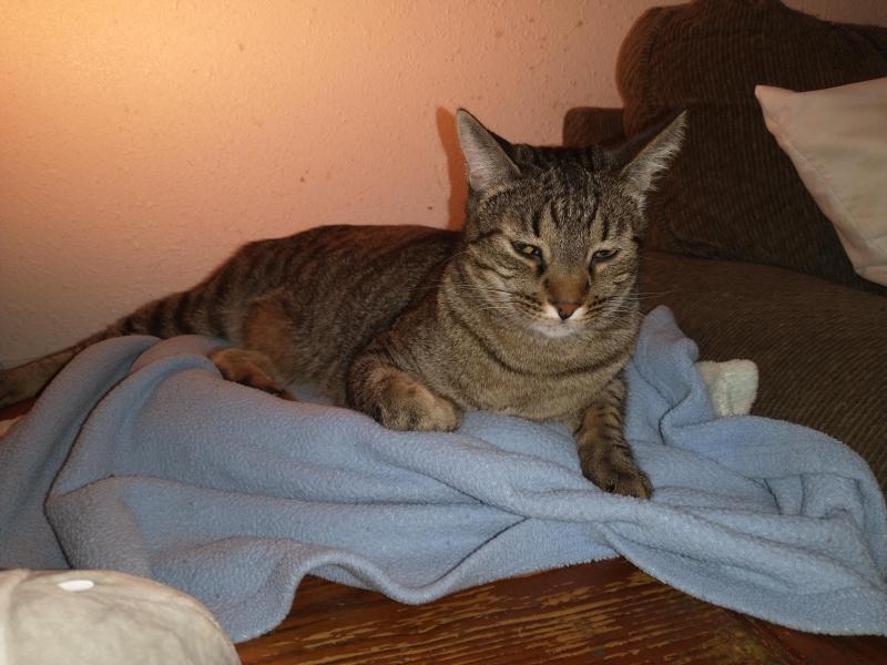 thebugster08 uploaded   179  day/s  ago