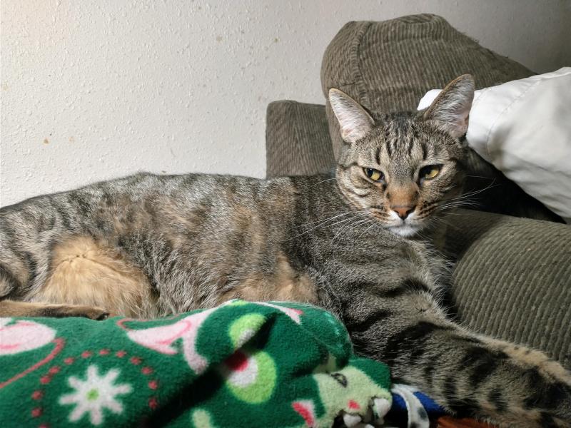 thebugster08 uploaded   200  day/s  ago