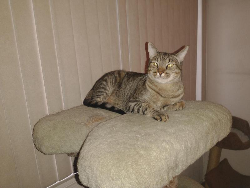 thebugster08 uploaded   157  day/s  ago