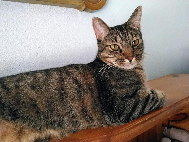 thebugster08 uploaded   172  day/s  ago