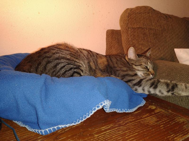 thebugster08 uploaded   136  day/s  ago