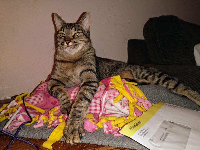 thebugster08 uploaded   1 year/s ago