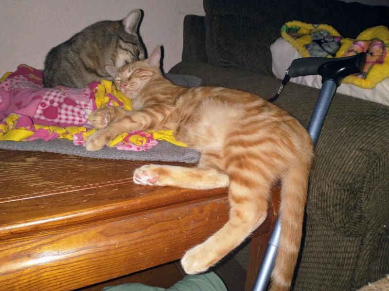 thebugster08 uploaded   1 year/s ago