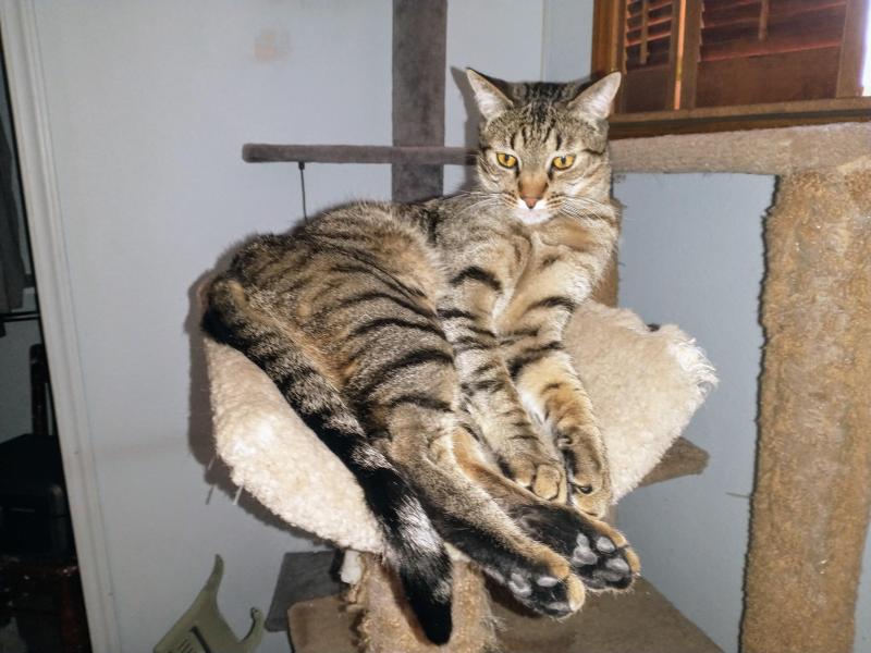 thebugster08 uploaded   1 year/s ago