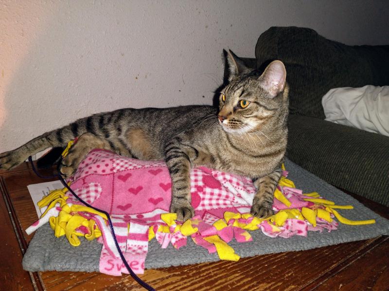 thebugster08 uploaded   1 year/s ago