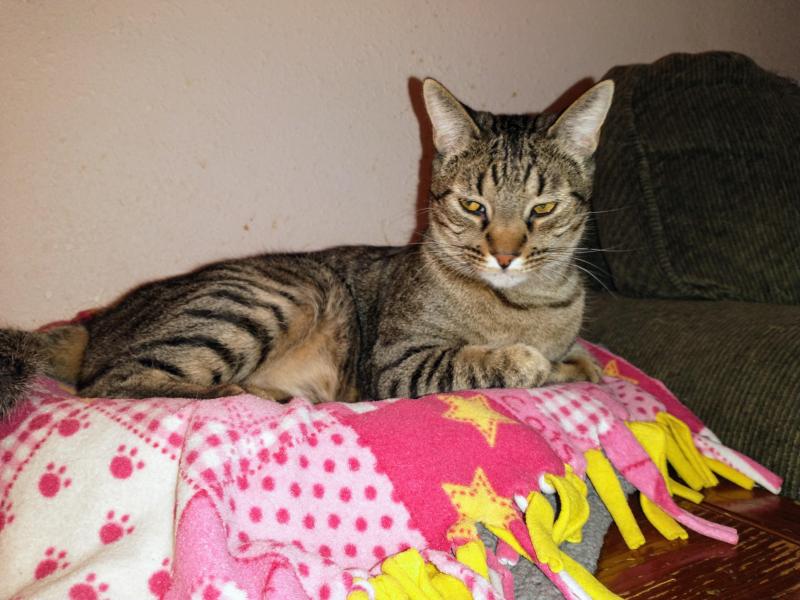 thebugster08 uploaded   1 year/s ago