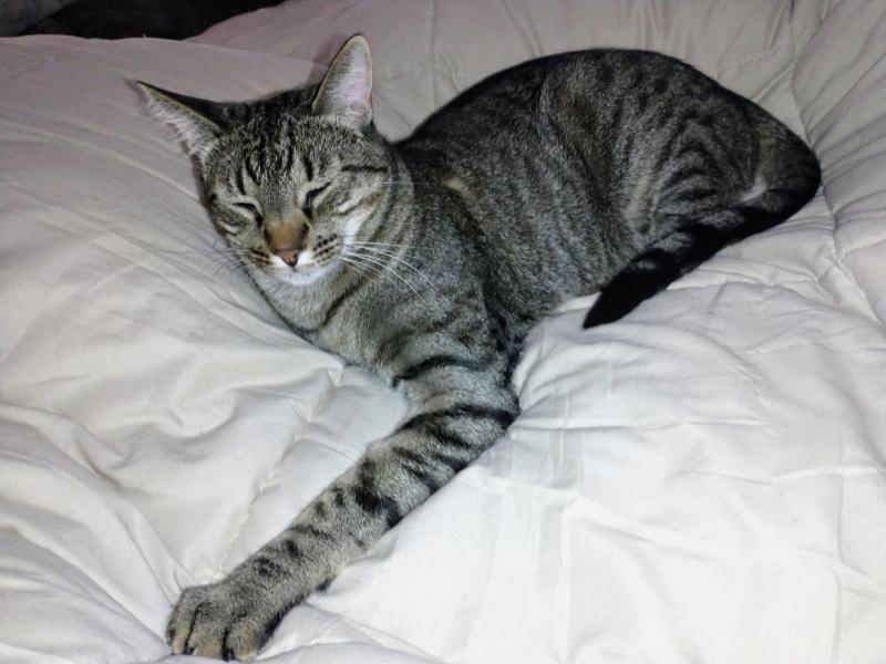 thebugster08 uploaded   1 year/s ago